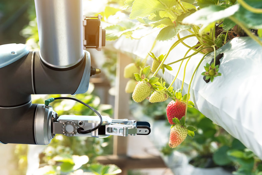 Tackling the challenges of greenhouse robotics